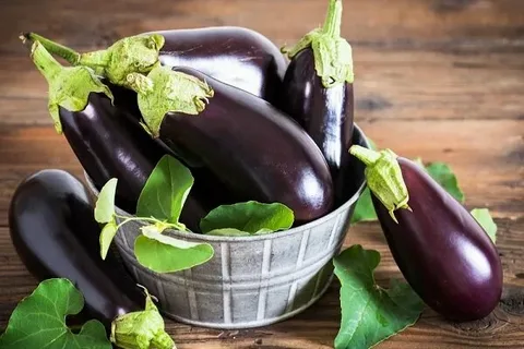 تصویر 5 از خرید و قیمت بادمجان سیاه بزرگ + فروش عمده